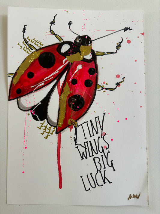 Ladybug No1